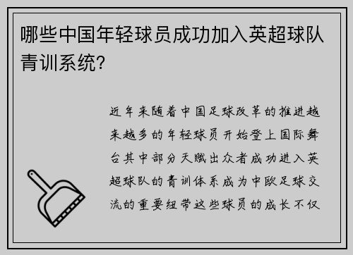 哪些中国年轻球员成功加入英超球队青训系统？